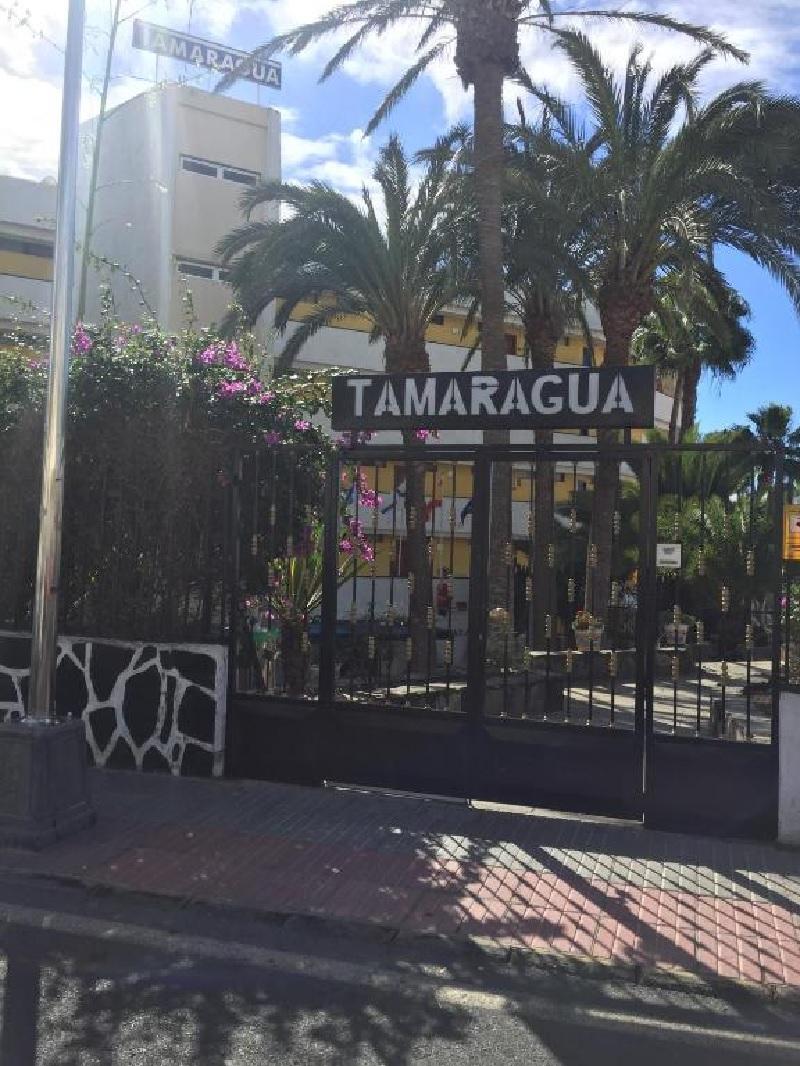 Apartamentos Tamaragua Playa del Ingles  Exterior foto